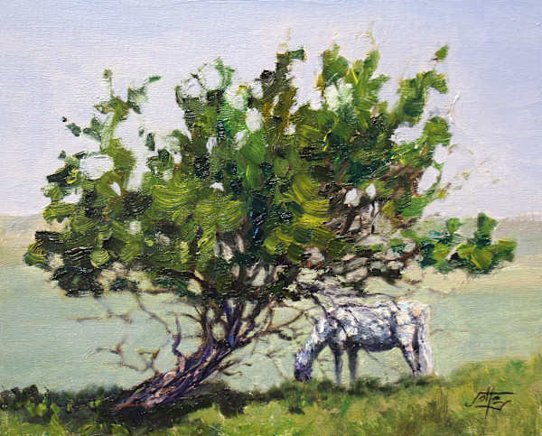 Shaded by Ryan Jolley, Image 1.