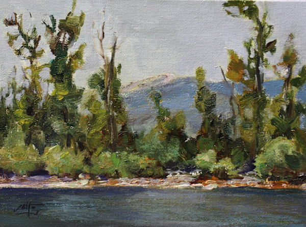 Summers Grace by Ryan Jolley, Image 1.