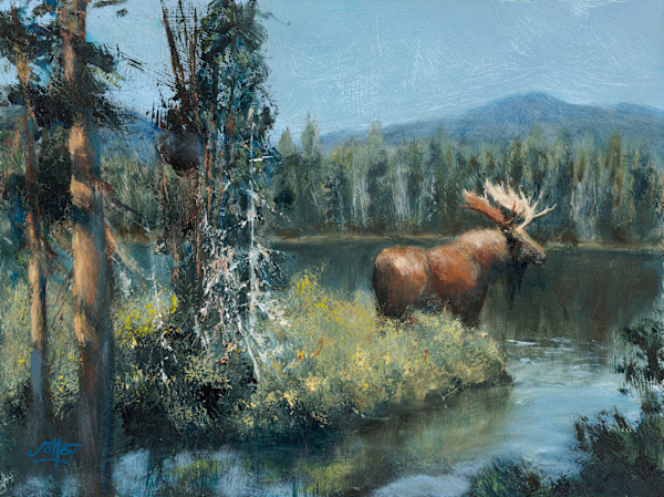 A Moment's Peace by Ryan Jolley, Image 1.
