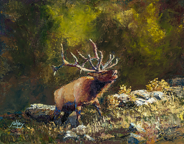 Don't Mess With The Bull by Ryan Jolley, Image 1.