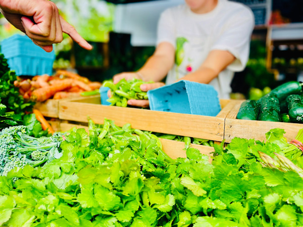 Exchanging (Long Season Farm) by Amy Bandolik, Image 1.
