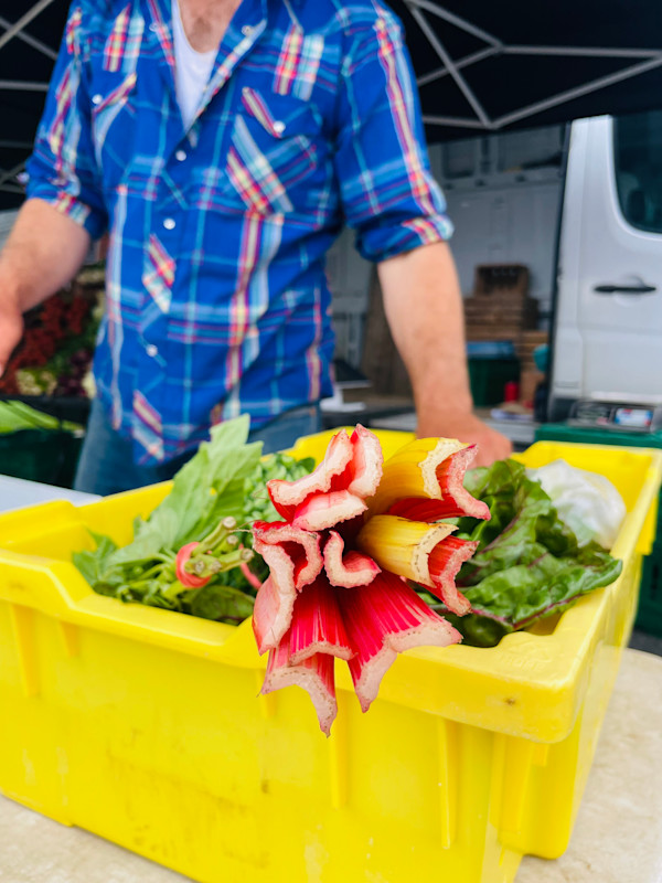 Preparing (Long Season Farm) by Amy Bandolik, Image 1.