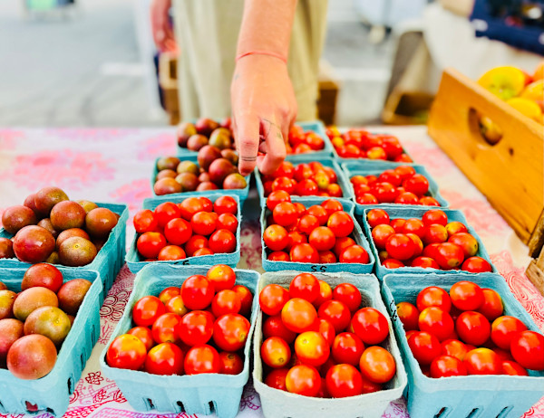 Selecting (Common Ground Farm) by Amy Bandolik, Image 1.