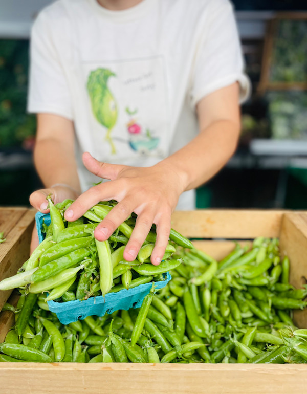 Filling (Long Season Farm) by Amy Bandolik, Image 1.