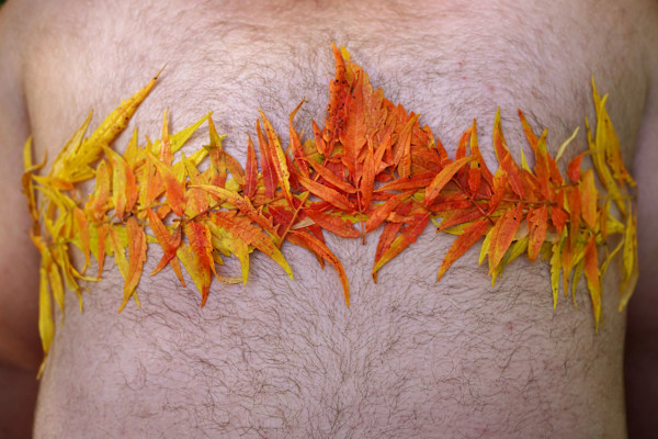 September Sumac by L. Nichols, Image 1.
