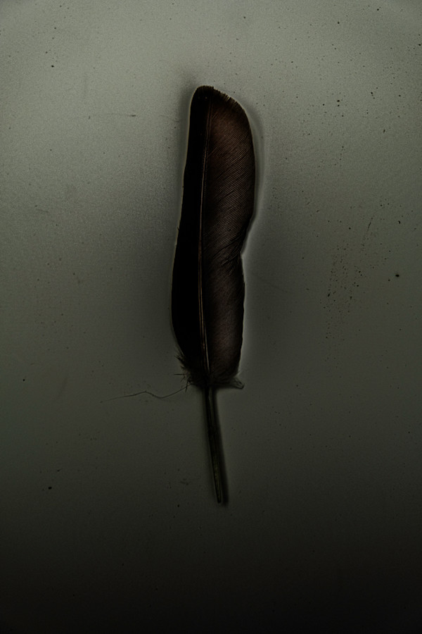 Apatschin by Chris Neyen