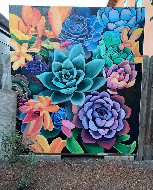 Succulents in Backyard by Bianca Lago