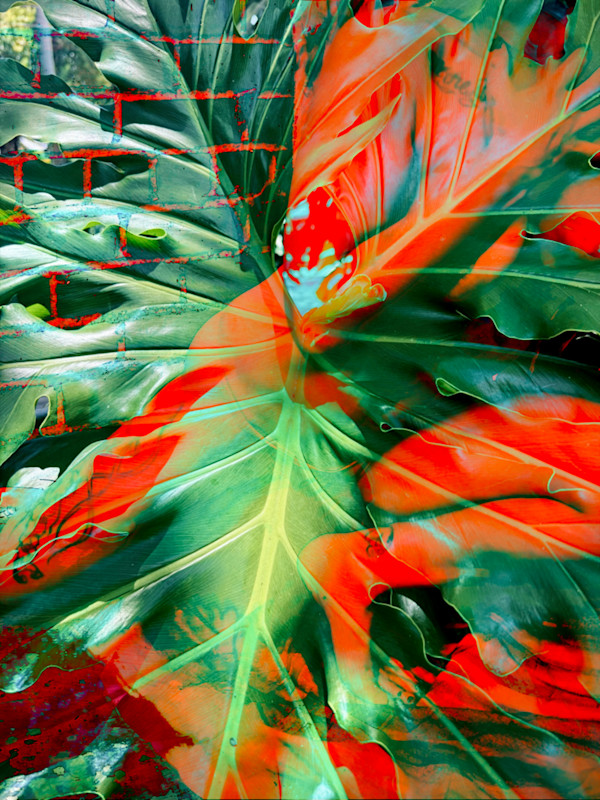 Uma Arlinda Mulher by Bianca Lago