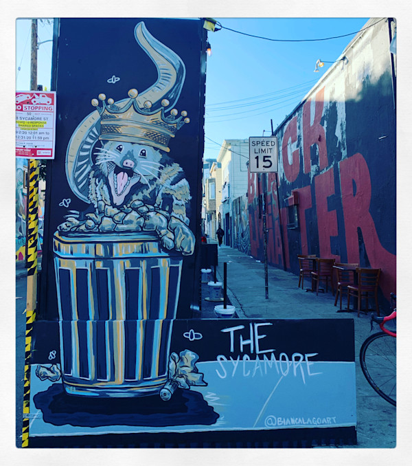 Opossum Trash King by Bianca Lago, Image 6.