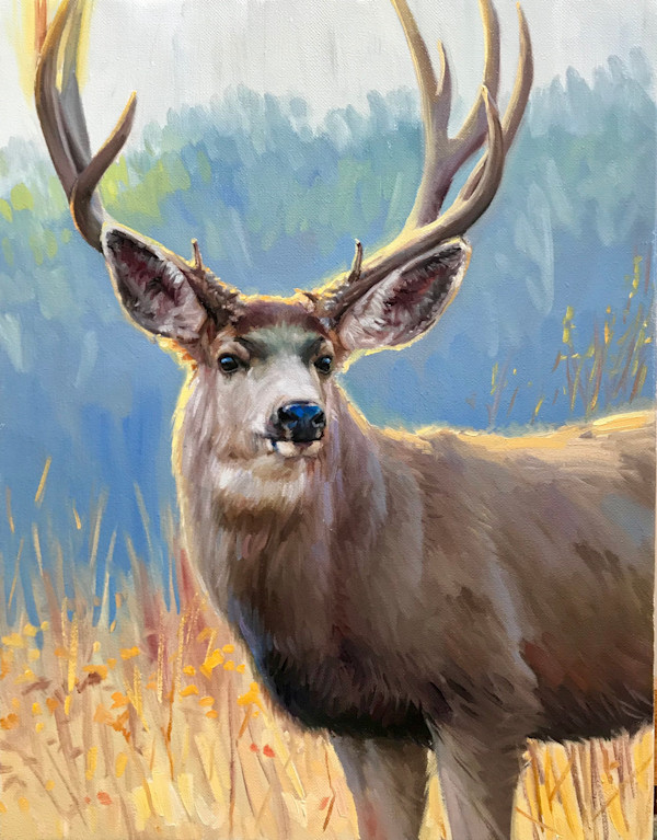 At Sundown - Mule Deer by Ken Corbett