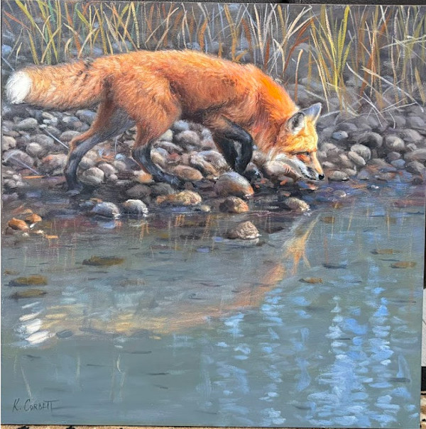 Fox by a river by Ken Corbett