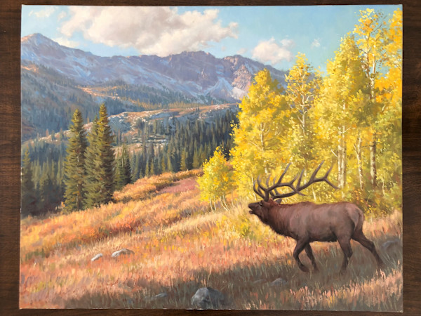 High Country Elk by Ken Corbett