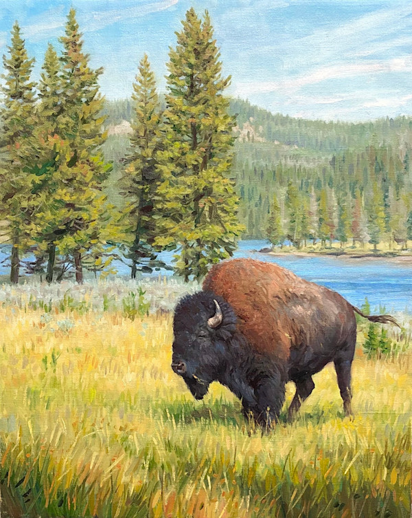 Yellowstone Bull - Buffalo by Ken Corbett