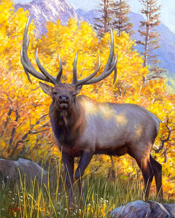 King of the Forest by Ken Corbett