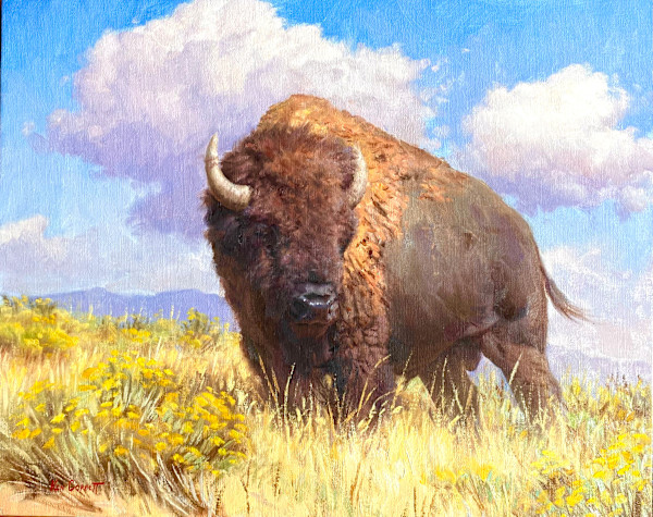Lone Bull - Buffalo by Ken Corbett