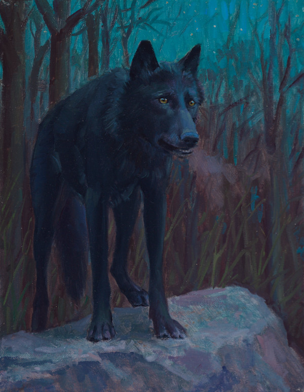 Night Wolf by Ken Corbett