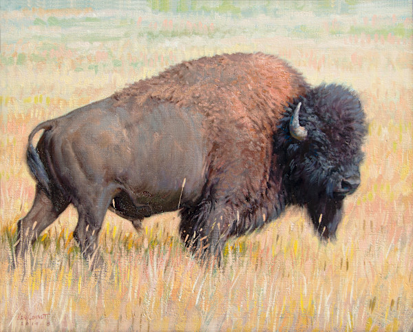 Prairie King- Buffalo by Ken Corbett