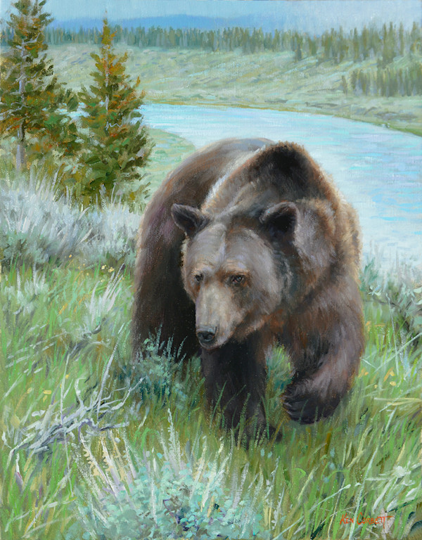 Rainy Day Wednesday - Bear by Ken Corbett