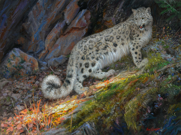 Snow Leopard by Ken Corbett