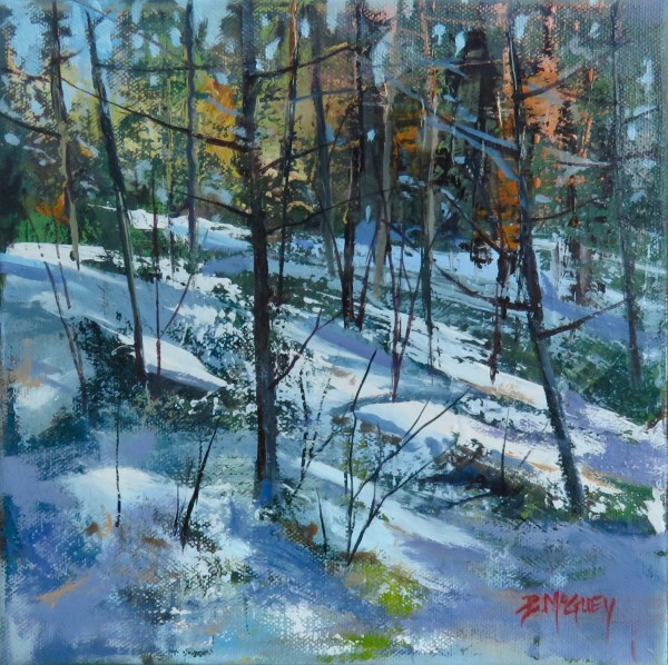 Winter's Silence by Barbara McGuey