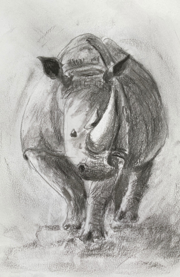 Rhino by John Simnett