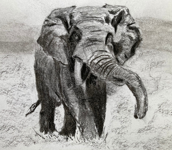 Elephant by John Simnett