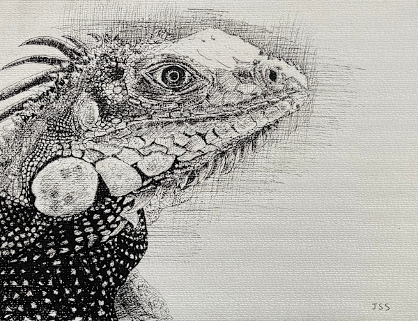 Lizard Head by John Simnett