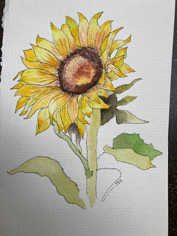 Sunflower by John Simnett