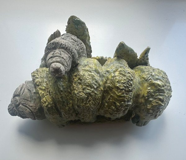 Tardigrade by John Simnett
