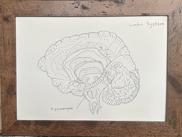 Limbic System by John Simnett