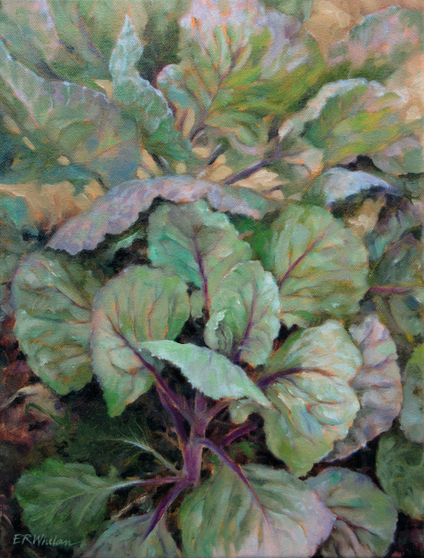 Brussels Sprouts, Evening Light by Elizabeth R. Whelan