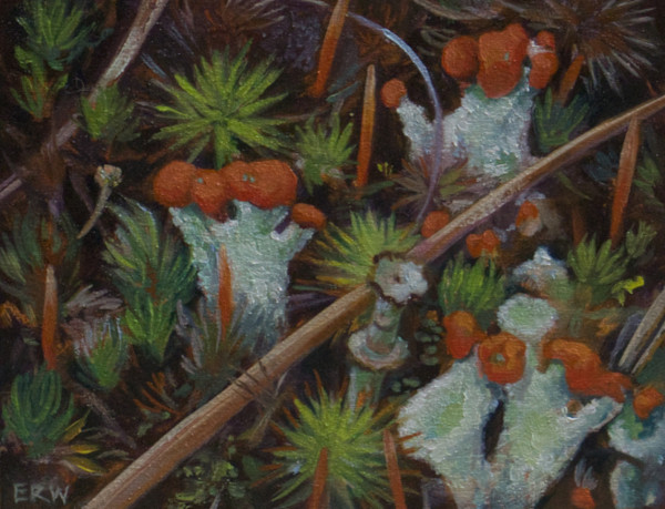 Treasures Underfoot by Elizabeth R. Whelan