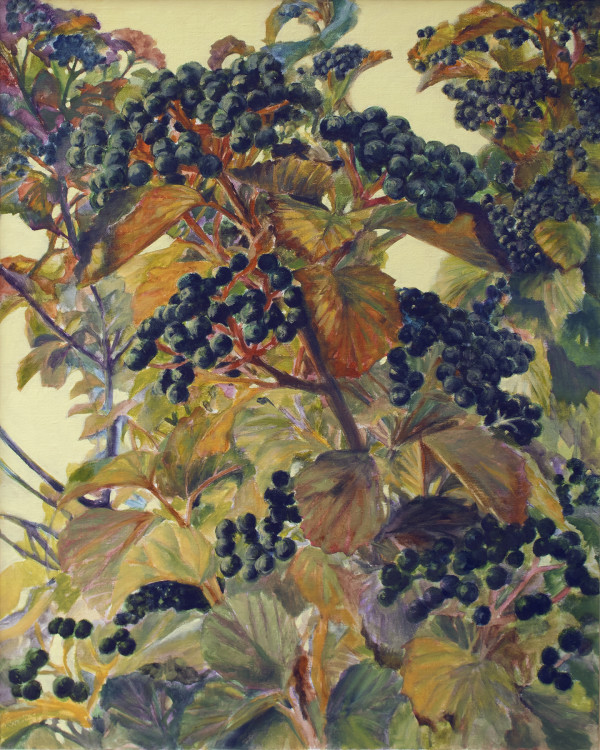 Elderberries by Elizabeth R. Whelan