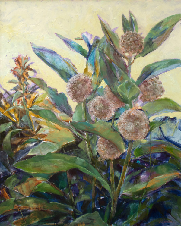 Milkweed by Elizabeth R. Whelan