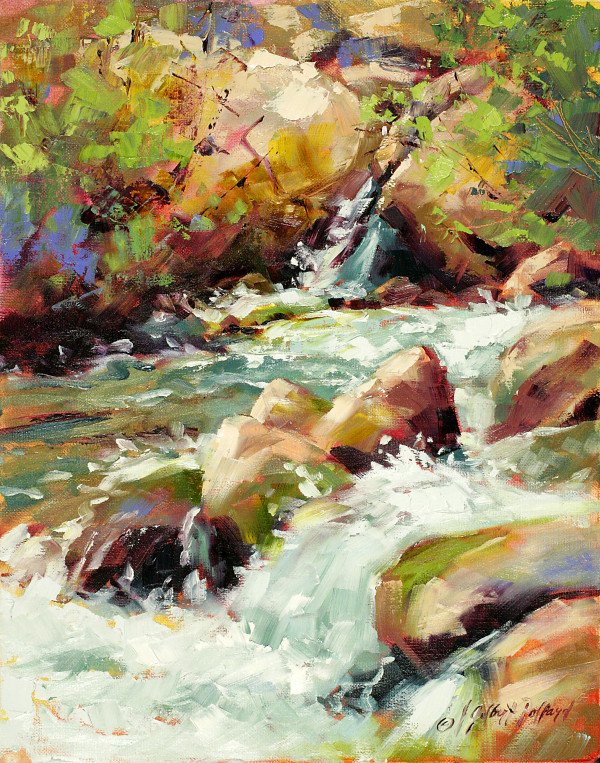 Carson river Rapids by Julie Gilbert Pollard