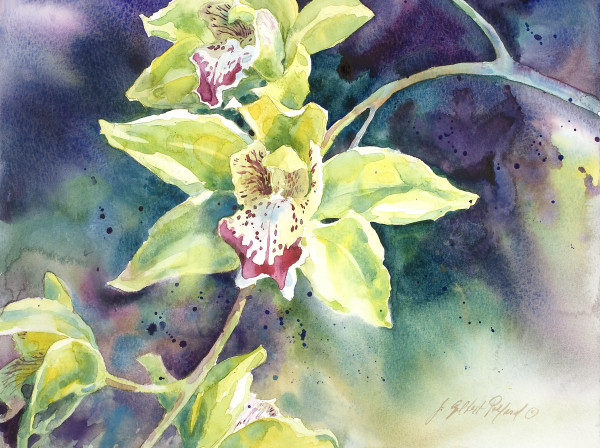 Green Orchids by Julie Gilbert Pollard