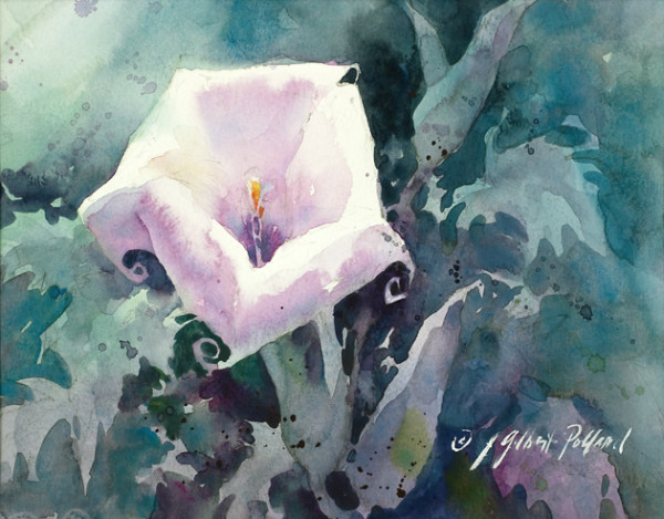 Datura by Julie Gilbert Pollard