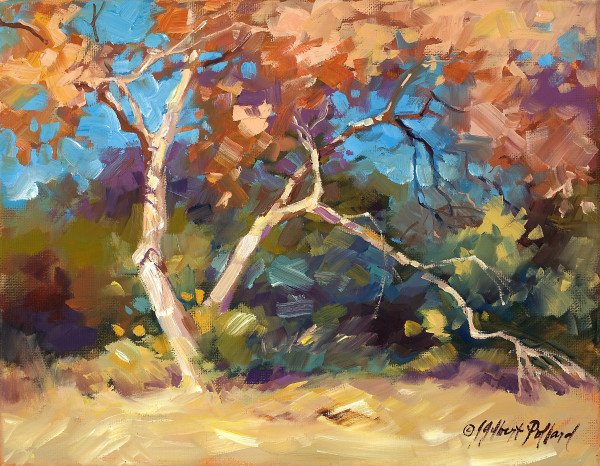 Sycamores at Red Rock Crossing by Julie Gilbert Pollard