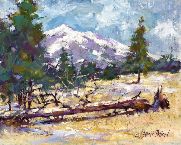 San Francisco Peaks from the North by Julie Gilbert Pollard