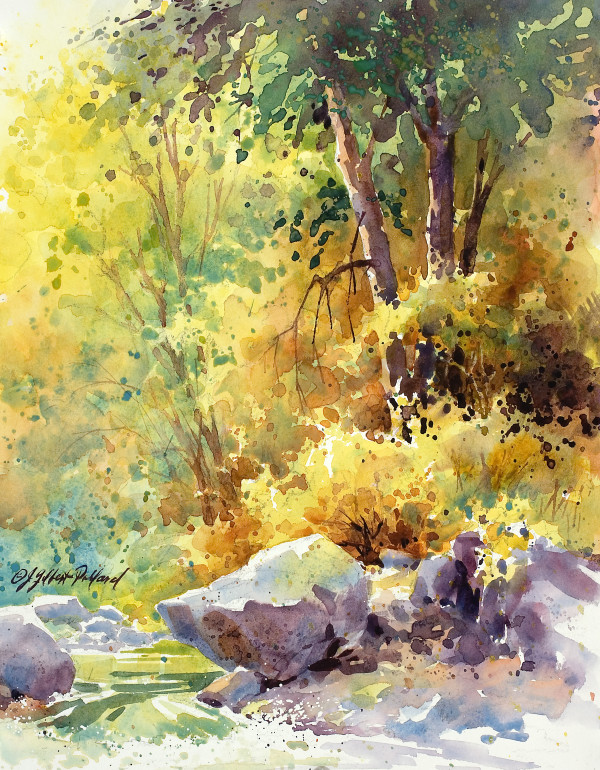 Splashes of Gold by Julie Gilbert Pollard