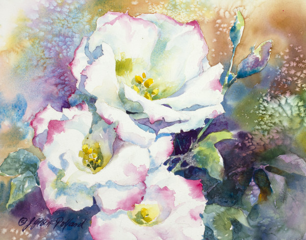 Lisianthus by Julie Gilbert Pollard