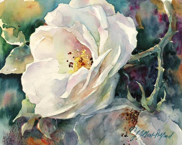 White Roses by Julie Gilbert Pollard