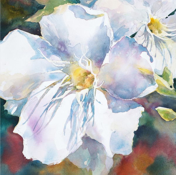 White Oleander by Julie Gilbert Pollard