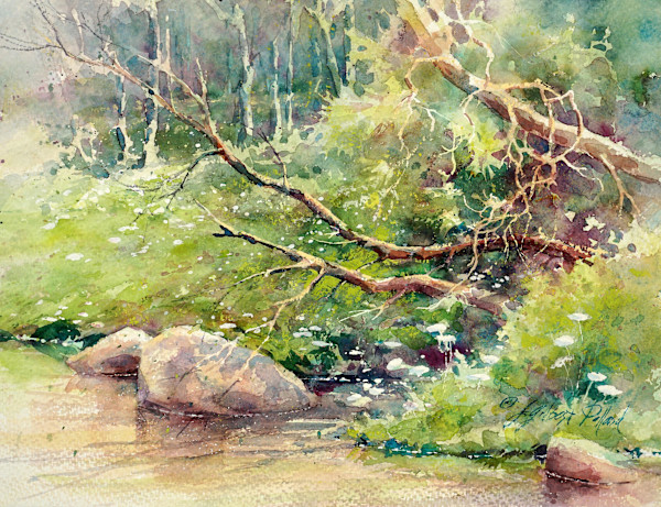 Mountain Stream by Julie Gilbert Pollard