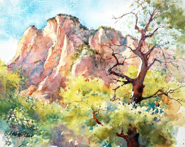 Above Slide Rock by Julie Gilbert Pollard