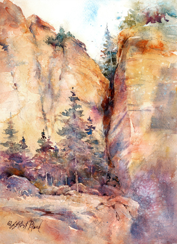 Gazing Up - West Fork Canyon by Julie Gilbert Pollard