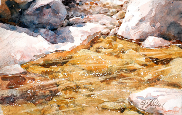 Sonoran Stream - a study by Julie Gilbert Pollard