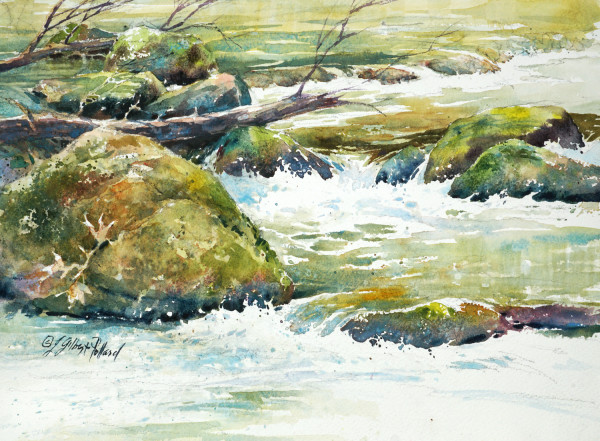 Mossy Creek - Blanchard Springs by Julie Gilbert Pollard