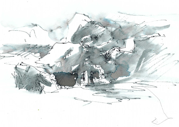 Mountain Stream - Lefthand Creek, Buckingham Park, CO II by Julie Gilbert Pollard