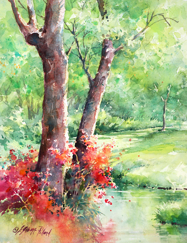 Stream at Living Springs - Oak Creek Canyon by Julie Gilbert Pollard